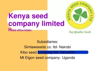 kenya seed company limited h ead office kitale