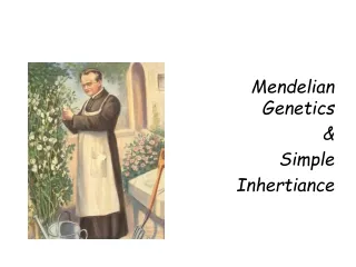 Mendelian Genetics  &amp;  Simple  Inhertiance