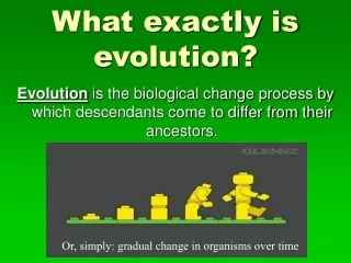 What exactly is evolution?