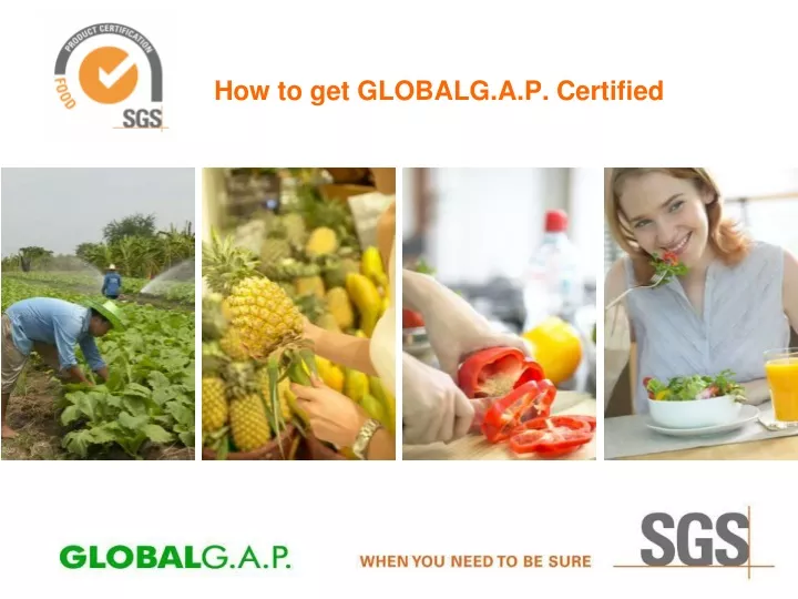 how to get globalg a p certified