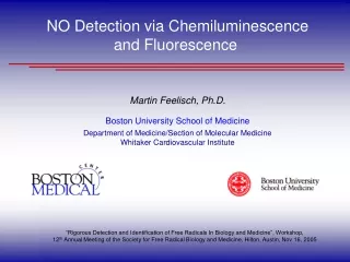 NO Detection via Chemiluminescence and Fluorescence  Martin Feelisch, Ph.D.
