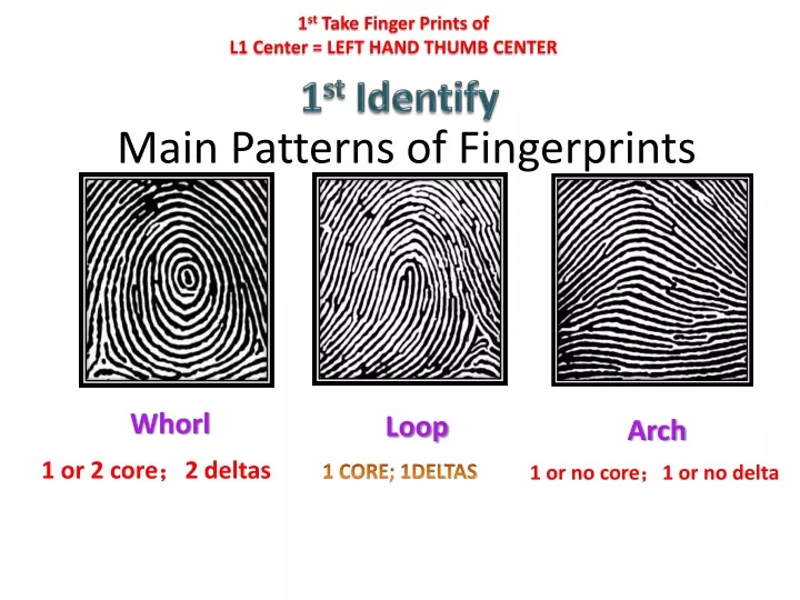1 st take finger prints of l1 center left hand