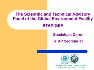 The Scientific and Technical Advisory Panel of the Global Environment Facility STAP/GEF