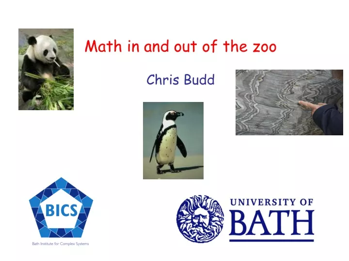 math in and out of the zoo chris budd