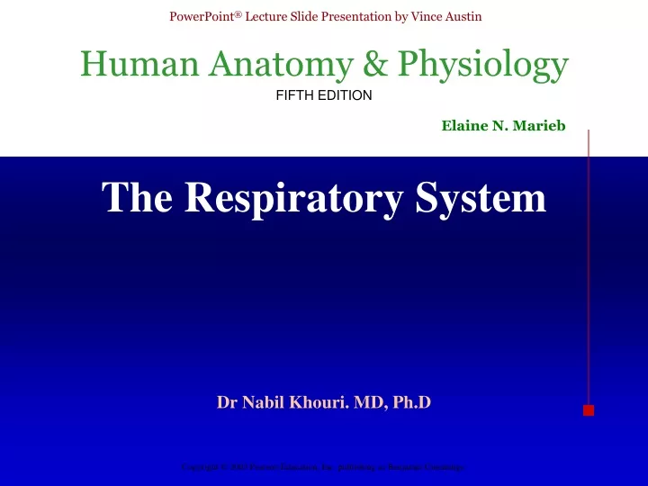 the respiratory system