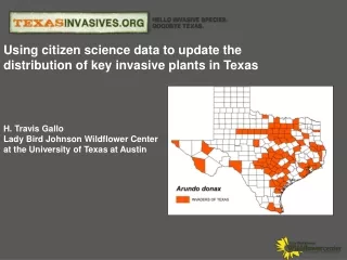 Using citizen science data to update the distribution of key invasive plants in Texas