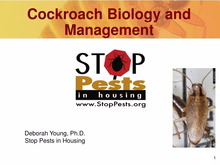 cockroach biology and management