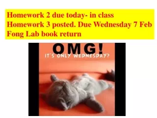 Homework 2 due today- in class Homework 3 posted. Due Wednesday 7 Feb Fong Lab book return