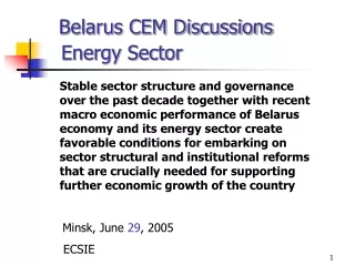 Belarus CEM Discussions 	Energy Sector