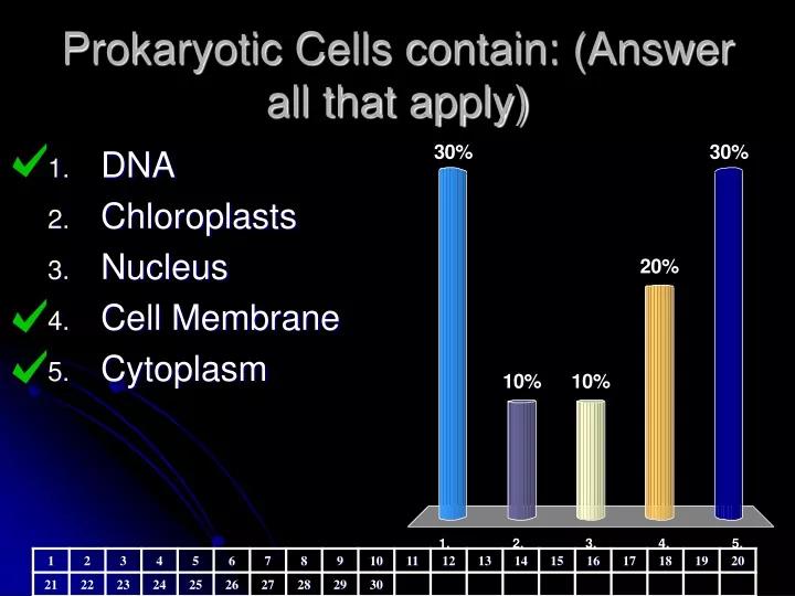 prokaryotic cells contain answer all that apply