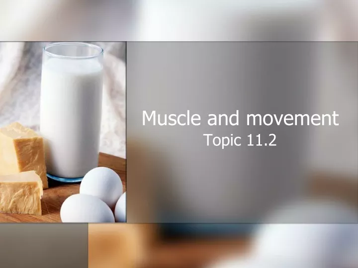muscle and movement