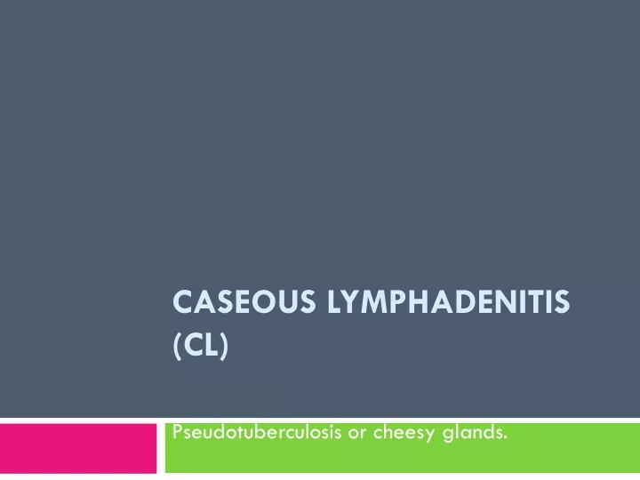 caseous lymphadenitis cl