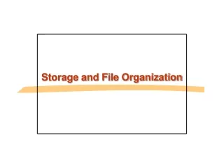 Storage and File Organization