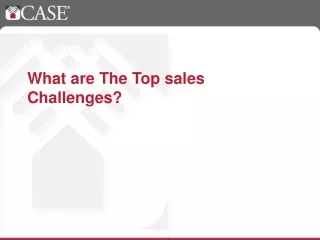 What are The Top sales Challenges?