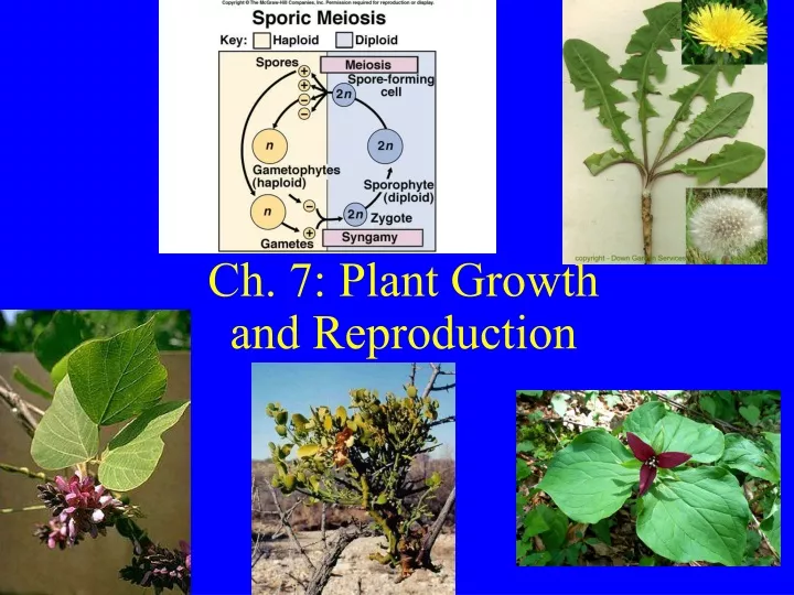 ch 7 plant growth and reproduction