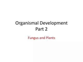 Organismal Development Part 2