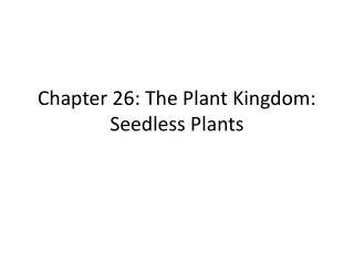 Chapter 26: The Plant Kingdom: Seedless Plants