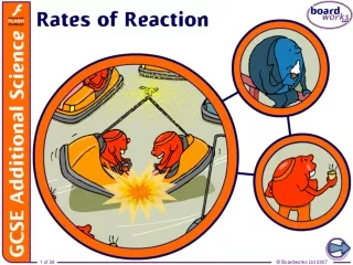 What does rate of reaction mean?