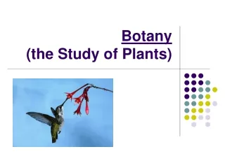 Botany (the Study of Plants)