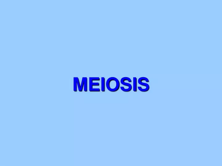 meiosis