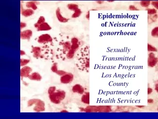 Epidemiology  of  Neisseria gonorrhoeae Sexually Transmitted Disease Program Los Angeles County