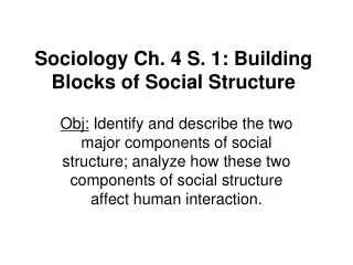 Sociology Ch. 4 S. 1: Building Blocks of Social Structure