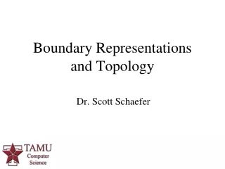 Boundary Representations  and Topology