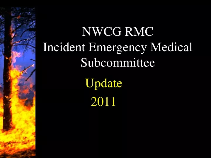 nwcg rmc incident emergency medical subcommittee