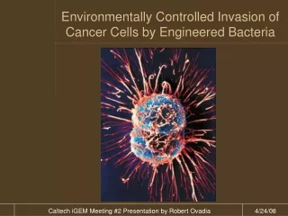 Environmentally Controlled Invasion of Cancer Cells by Engineered Bacteria
