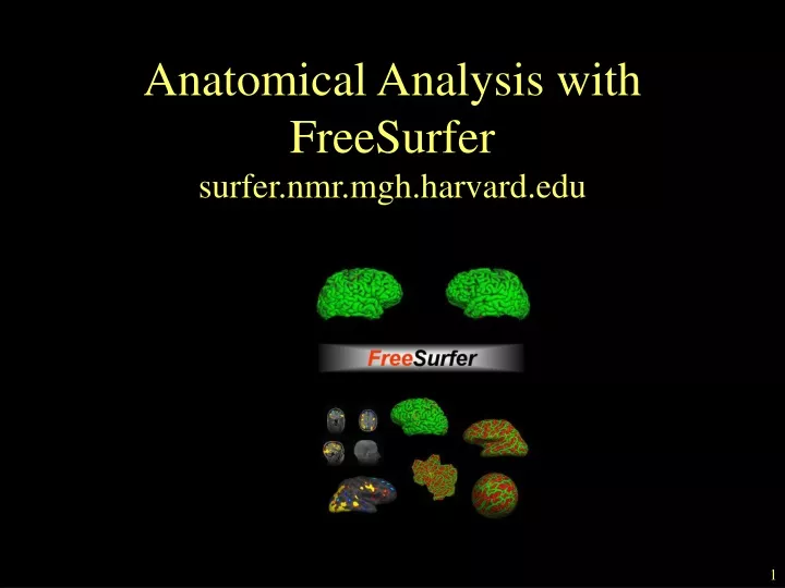 anatomical analysis with freesurfer surfer