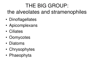 THE BIG GROUP:  the alveolates and stramenophiles