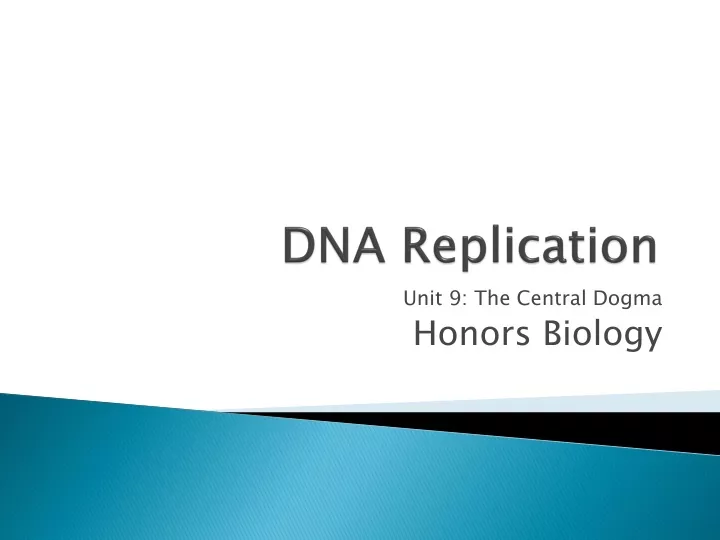 dna replication