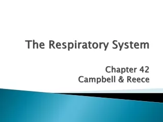 The Respiratory System Chapter 42 Campbell &amp; Reece