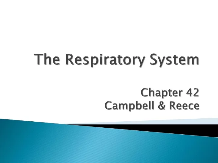 the respiratory system chapter 42 campbell reece