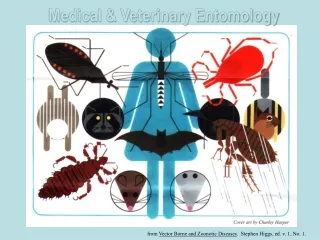 Medical &amp; Veterinary Entomology
