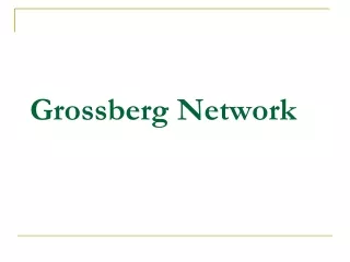 Grossberg Network