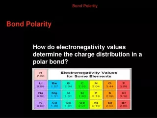 Bond Polarity