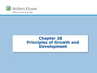 Chapter 28 Principles of Growth and Development