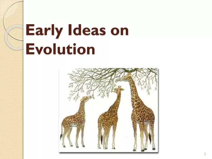 early ideas on evolution
