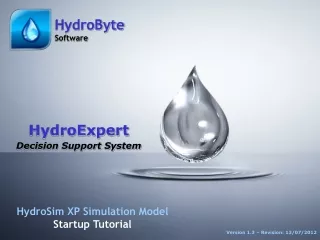 HydroExpert Decision Support System