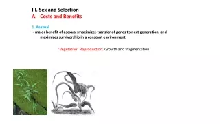 III. Sex and Selection Costs and Benefits   1. Asexual