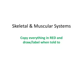 Skeletal &amp; Muscular Systems