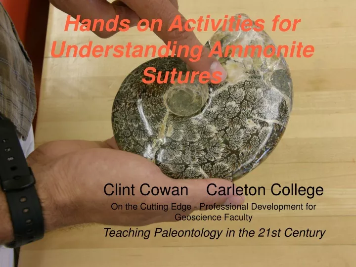 hands on activities for understanding ammonite sutures