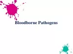 PPT - Bloodborne Pathogens PowerPoint Presentation, free download - ID ...