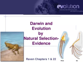 Darwin and Evolution by  Natural Selection- Evidence