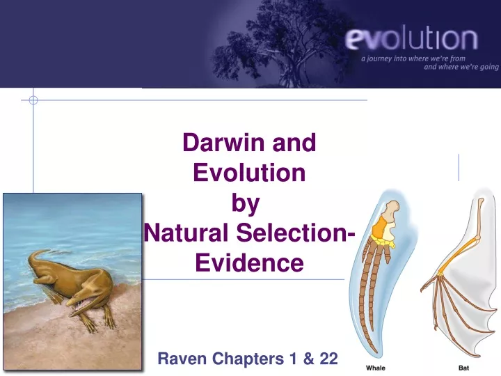 darwin and evolution by natural selection evidence