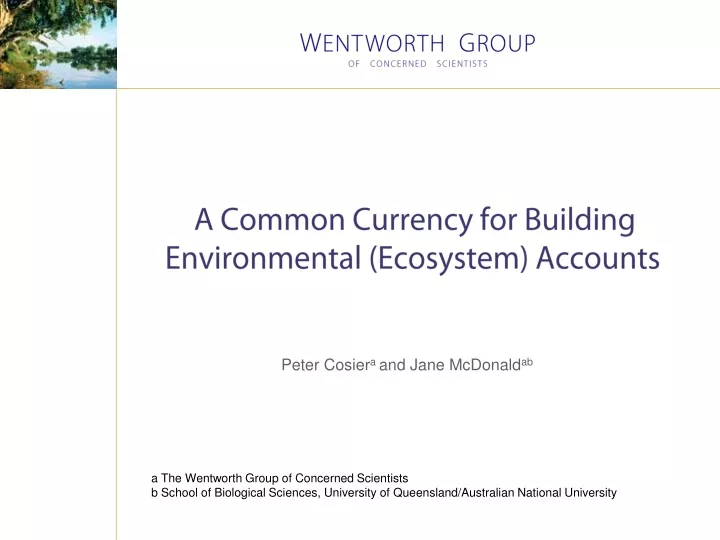 a common currency for building environmental ecosystem accounts