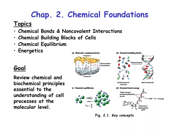 chap 2 chemical foundations