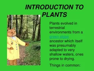 INTRODUCTION TO PLANTS