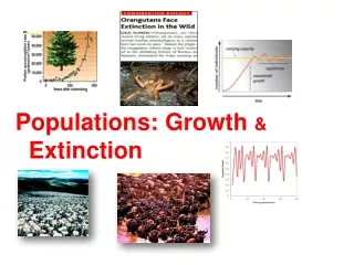 Populations: Growth  &amp;  Extinction